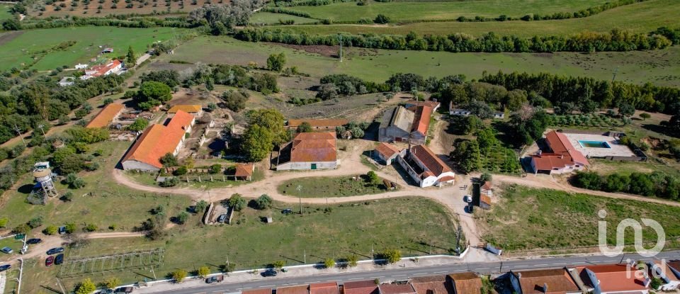 Ferme T7 à Santarém (Marvila), Santa Iria Da Ribeira De Santarém, Santarém (São Salvador) E Santarém (São Nicolau) de 1 811 m²