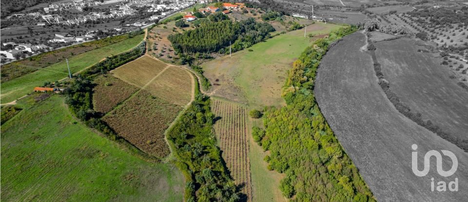 Ferme T7 à Santarém (Marvila), Santa Iria Da Ribeira De Santarém, Santarém (São Salvador) E Santarém (São Nicolau) de 1 811 m²