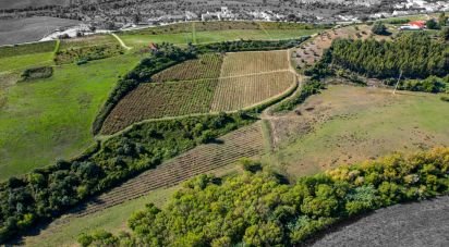 Ferme T7 à Santarém (Marvila), Santa Iria Da Ribeira De Santarém, Santarém (São Salvador) E Santarém (São Nicolau) de 1 811 m²