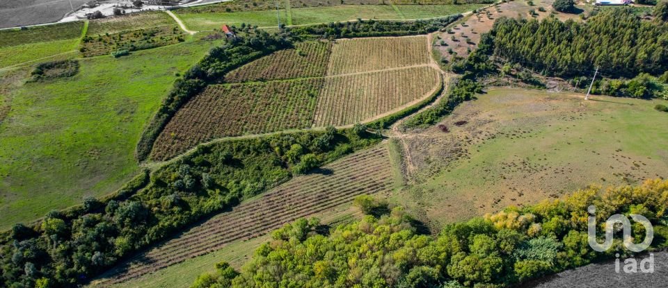 Ferme T7 à Santarém (Marvila), Santa Iria Da Ribeira De Santarém, Santarém (São Salvador) E Santarém (São Nicolau) de 1 811 m²