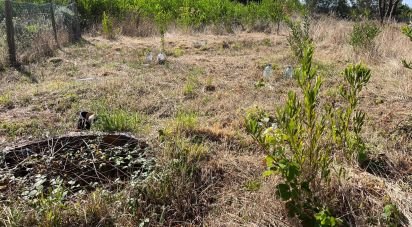 Land in Antas of 310 m²