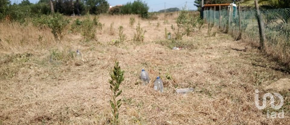 Terrain à Antas de 310 m²