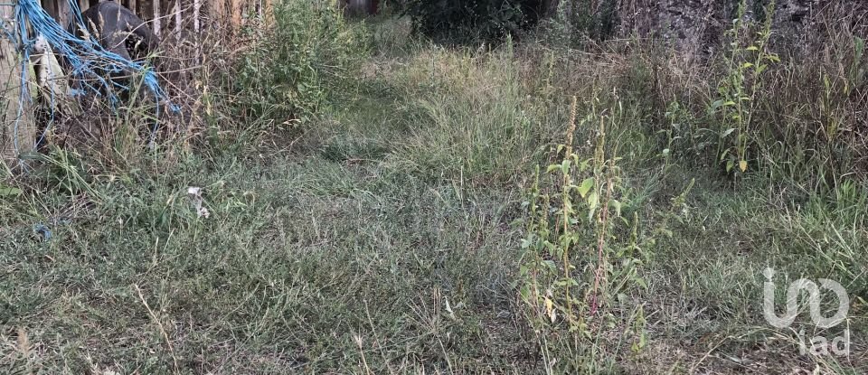 Terreno para construção em Ovar, São João, Arada e São Vicente de Pereira Jusã de 2 300 m²