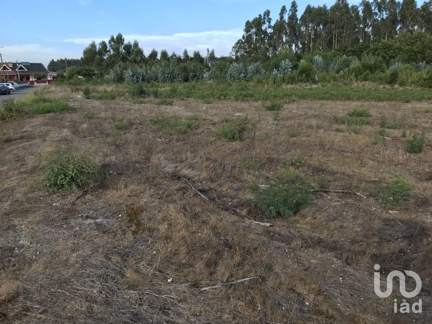 Terreno para construção em Ovar, São João, Arada e São Vicente de Pereira Jusã de 2 680 m²