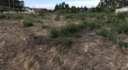 Terreno para construção em Ovar, São João, Arada e São Vicente de Pereira Jusã de 2 680 m²