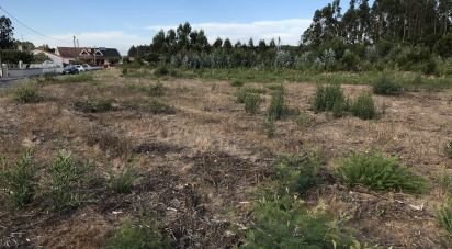 Terreno para construção em Ovar, São João, Arada e São Vicente de Pereira Jusã de 2 680 m²