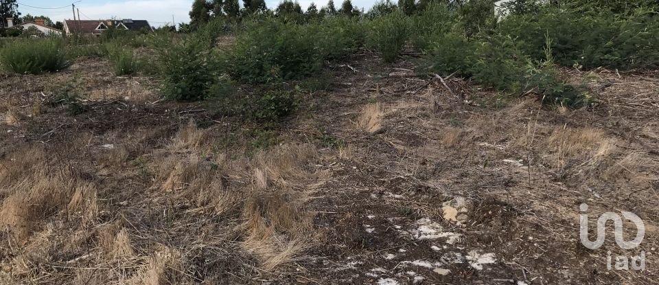 Terreno para construção em Ovar, São João, Arada e São Vicente de Pereira Jusã de 2 680 m²