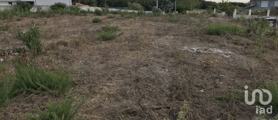 Terreno para construção em Ovar, São João, Arada e São Vicente de Pereira Jusã de 2 680 m²