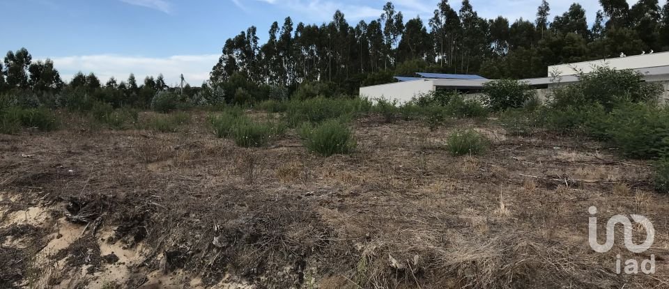 Terreno para construção em Ovar, São João, Arada e São Vicente de Pereira Jusã de 2 680 m²