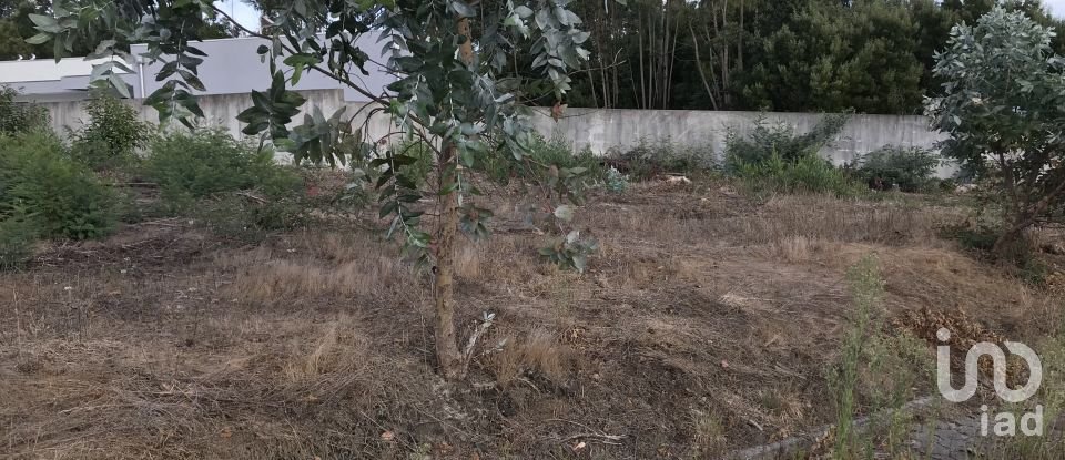 Terreno para construção em Ovar, São João, Arada e São Vicente de Pereira Jusã de 2 680 m²