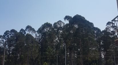 Terreno para construção em Barqueiros de 1 176 m²