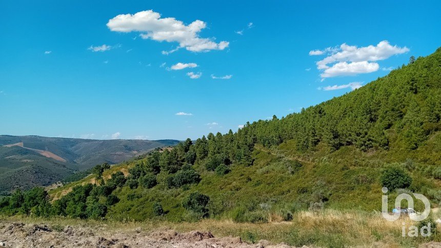 Agricultural land in Mós of 70,000 m²