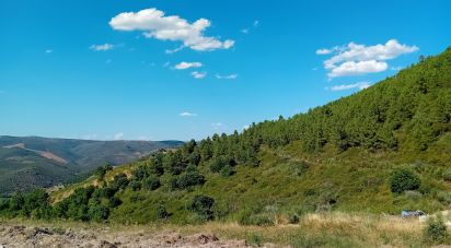 Terreno Agrícola em Mós de 70 000 m²