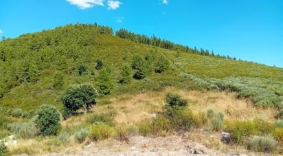 Terreno Agrícola em Mós de 70 000 m²