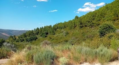 Agricultural land in Mós of 70,000 m²