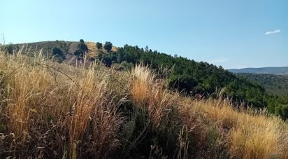 Terrain agricole à Mós de 70 000 m²