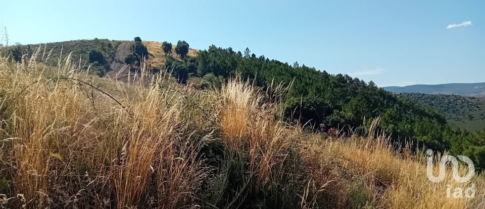 Terrain agricole à Mós de 70 000 m²