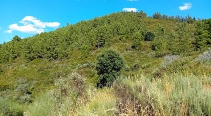 Terreno Agrícola em Mós de 70 000 m²