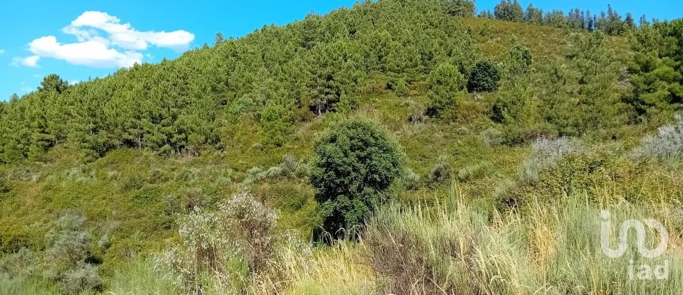 Agricultural land in Mós of 70,000 m²