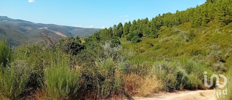 Agricultural land in Mós of 70,000 m²