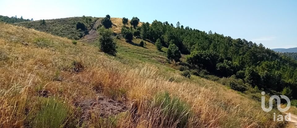 Terrain agricole à Mós de 70 000 m²