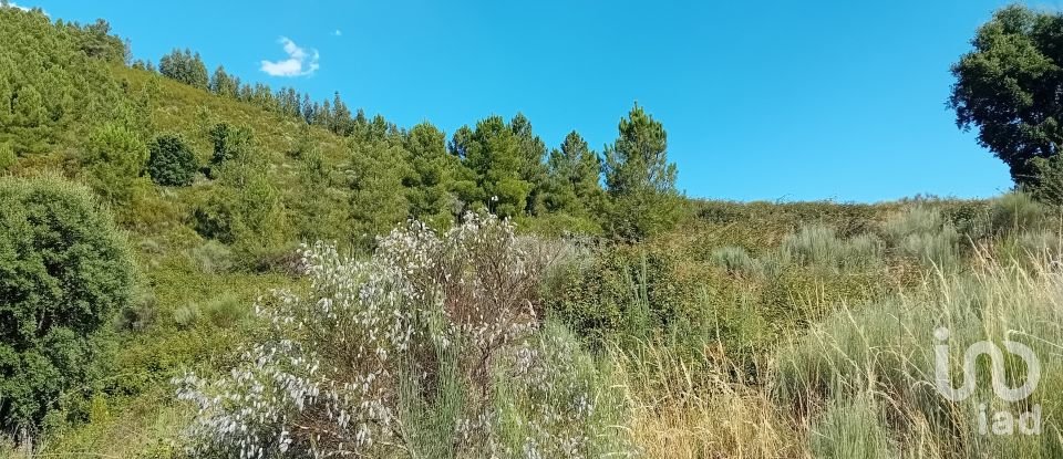 Agricultural land in Mós of 70,000 m²