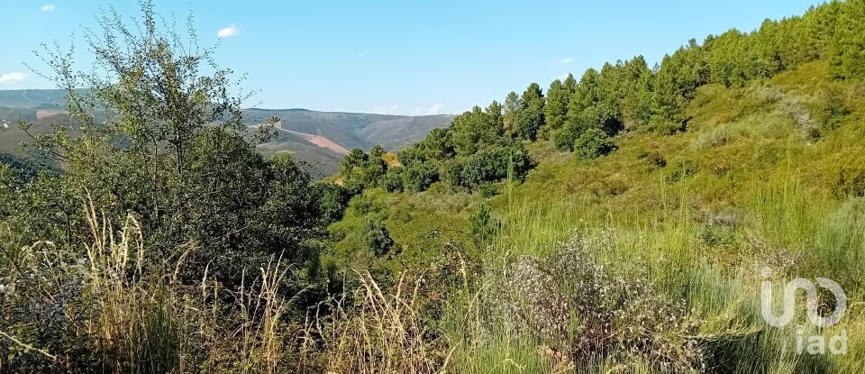 Agricultural land in Mós of 70,000 m²