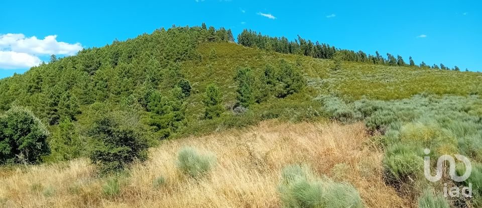 Agricultural land in Mós of 70,000 m²