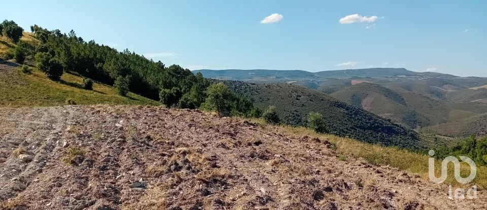 Terrain agricole à Mós de 70 000 m²