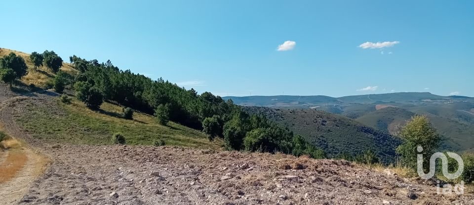 Terrain agricole à Mós de 70 000 m²