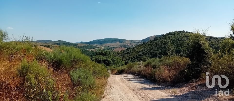 Agricultural land in Mós of 70,000 m²