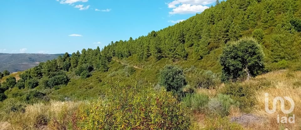 Agricultural land in Mós of 70,000 m²