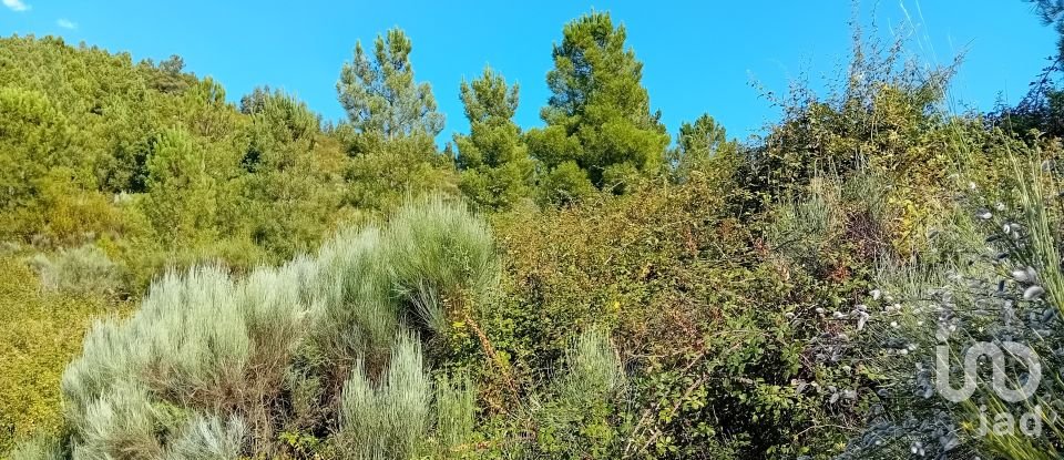 Terreno Agrícola em Mós de 70 000 m²