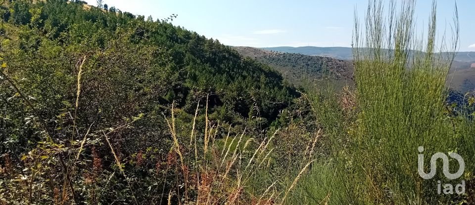 Terrain agricole à Mós de 70 000 m²