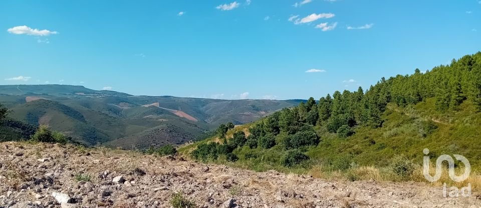 Terrain agricole à Mós de 70 000 m²