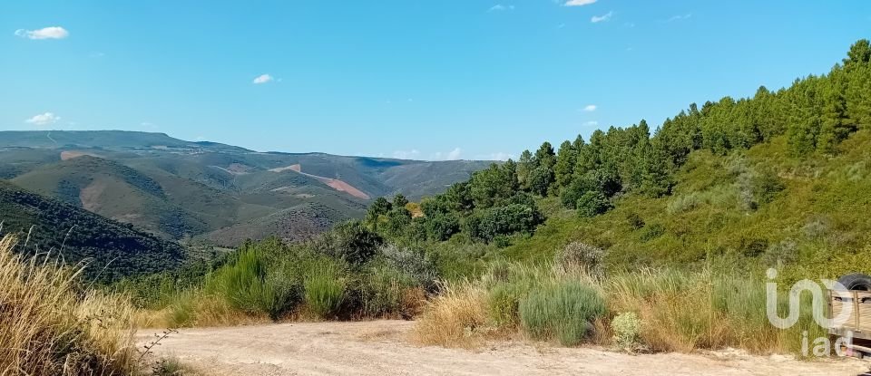 Terreno Agrícola em Mós de 70 000 m²