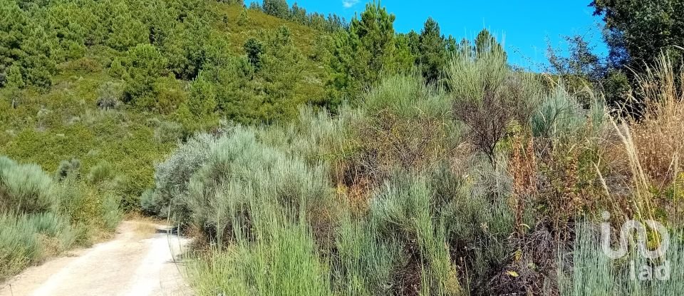 Terreno Agrícola em Mós de 70 000 m²