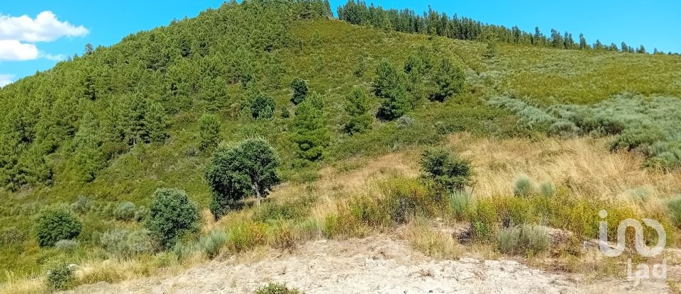 Agricultural land in Mós of 70,000 m²