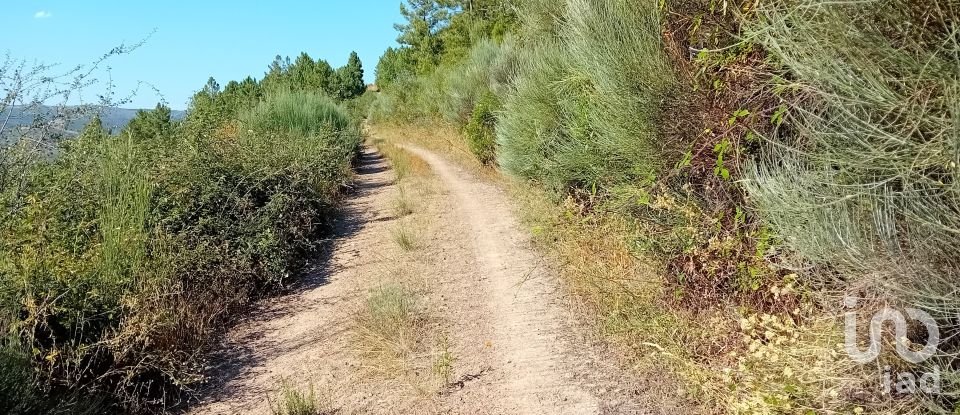 Terreno Agrícola em Mós de 70 000 m²