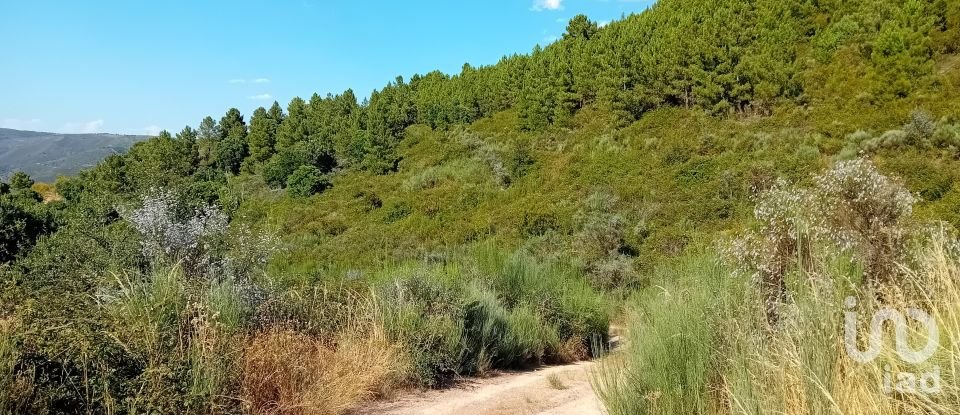 Terreno Agrícola em Mós de 70 000 m²