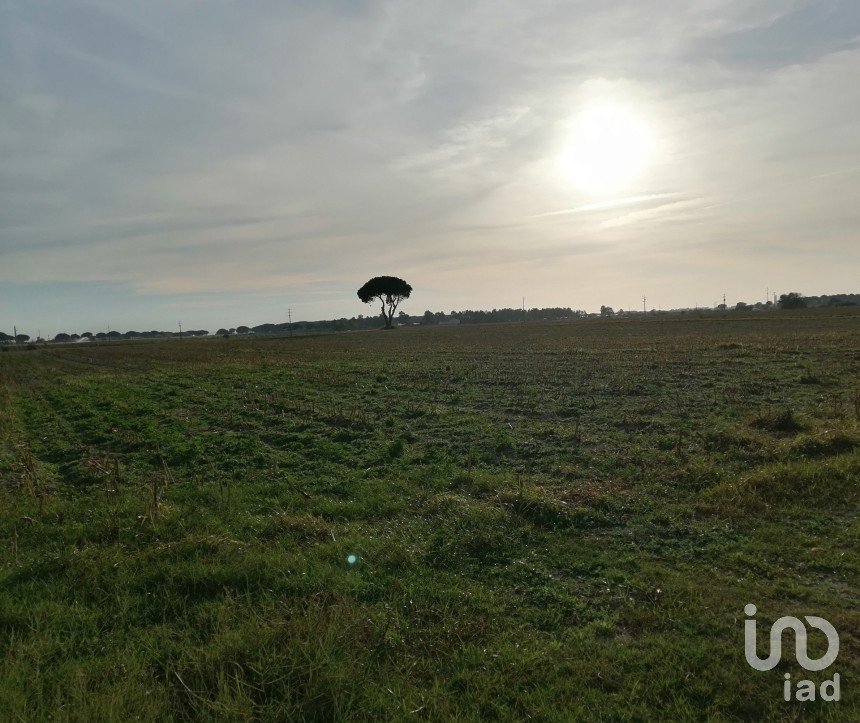 Terreno em Pegões de 142 177 m²