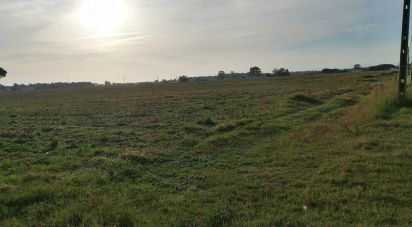 Terrain à Pegões de 142 177 m²