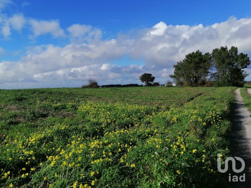 Terreno em Pegões de 42 500 m²