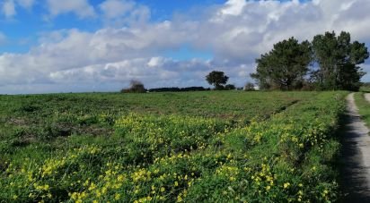 Terreno em Pegões de 42 500 m²