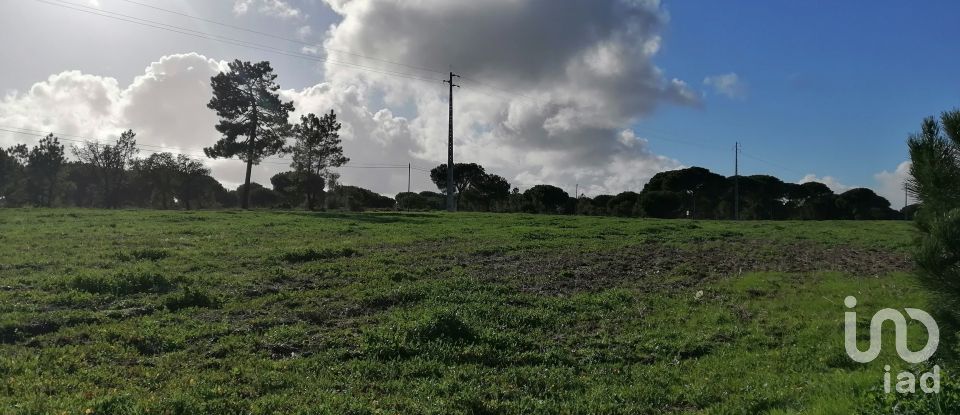 Terreno em Pegões de 42 500 m²