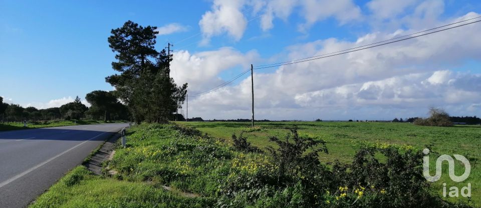 Terreno em Pegões de 42 500 m²