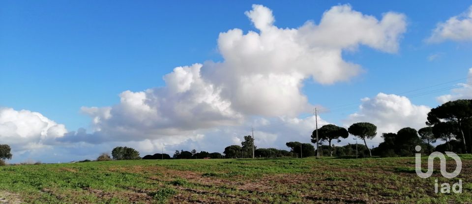 Terreno em Pegões de 42 500 m²