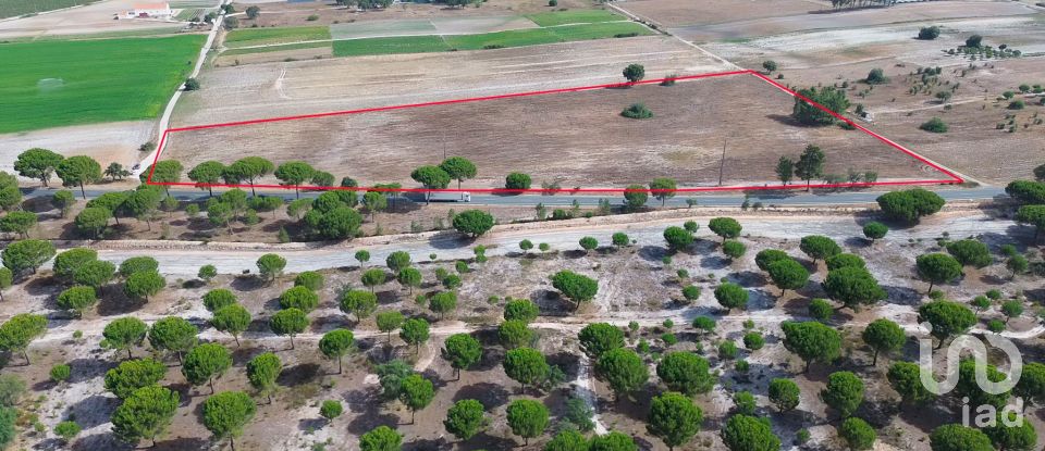 Terreno em Pegões de 42 500 m²