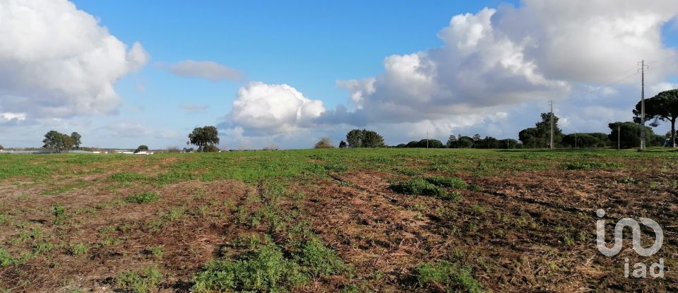 Terreno em Pegões de 42 500 m²