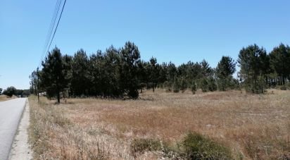 Terrain à Pegões de 41 750 m²